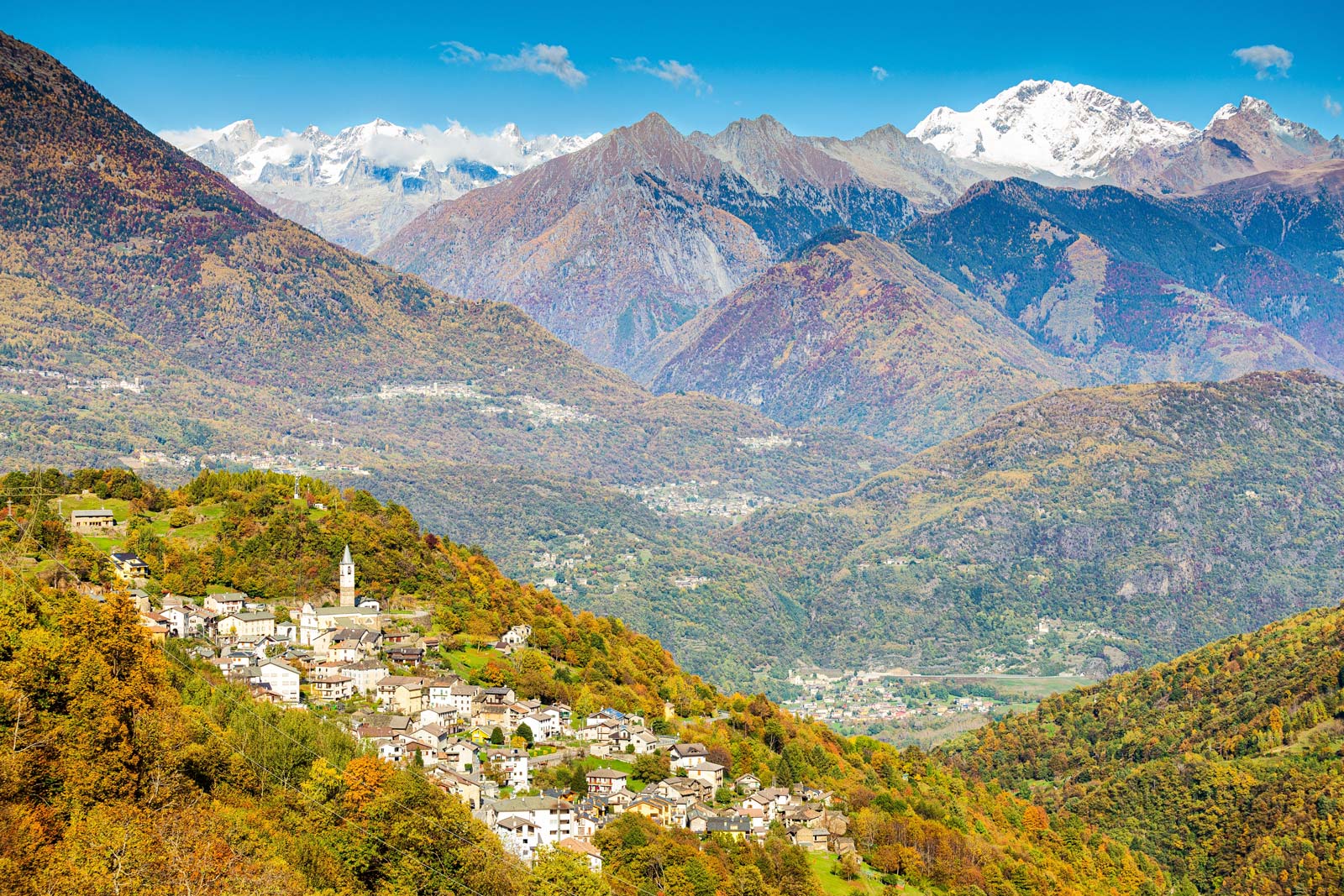 Miele Millefiori estivo di Montagna